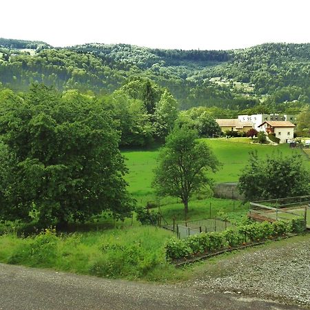 Les Jolis Coeurs Hotel Thiefosse Exterior photo